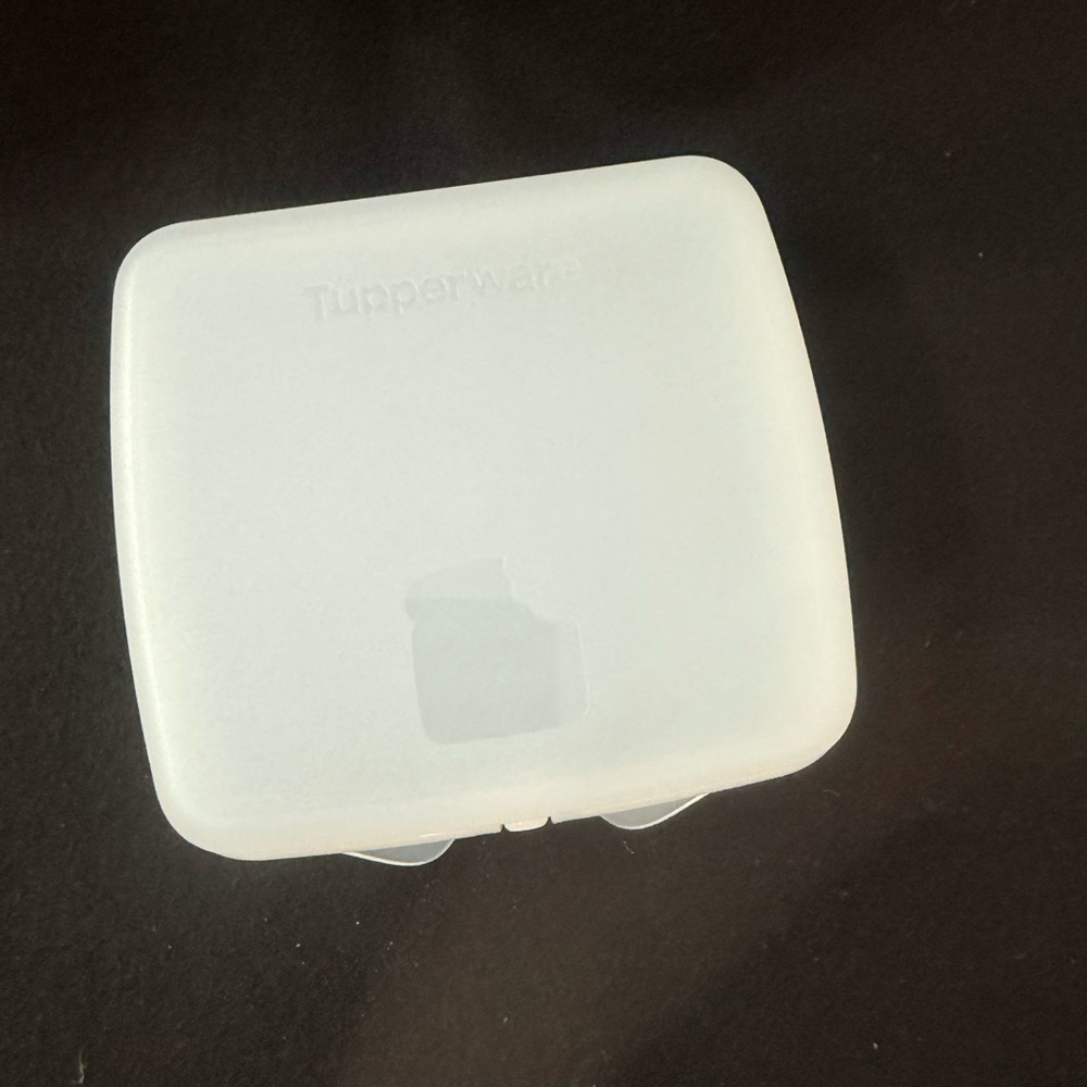 Tupperware Frosted Lunch Box